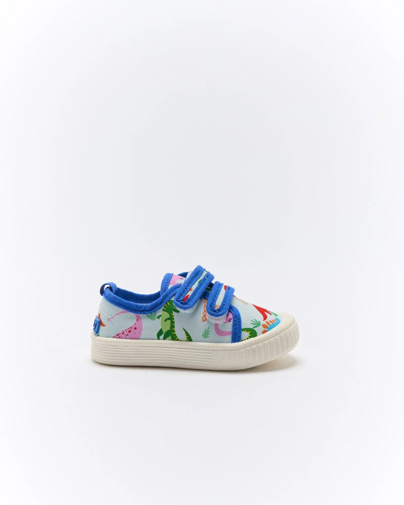 Ben Canvas - Rainbow Dino
